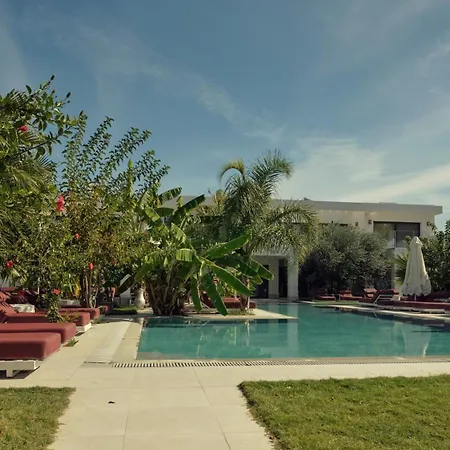 Maro Arillas Corfu *